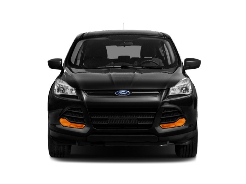 2014 Ford Escape FWD 4dr SE Exterior Shot 6
