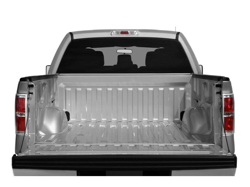 2013 Ford F-150 4WD SuperCrew 145" XLT Exterior Shot 4
