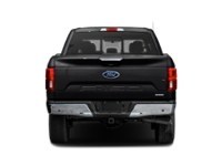 2019 Ford F-150 LARIAT 4WD SuperCrew 5.5' Box Exterior Shot 7