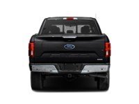 2019 Ford F-150 LARIAT 4WD SuperCrew 5.5' Box Exterior Shot 7
