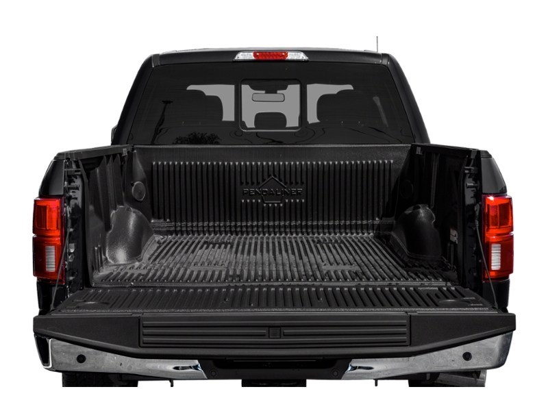 2019 Ford F-150 LARIAT 4WD SuperCrew 5.5' Box Exterior Shot 4