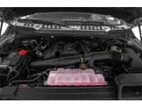 2019 Ford F-150 LARIAT 4WD SuperCrew 5.5' Box Exterior Shot 3