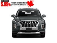 2020 Hyundai Palisade Luxury 7-Passenger AWD Exterior Shot 5