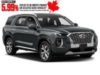 2020 Hyundai Palisade Luxury 7-Passenger AWD Exterior Shot 8