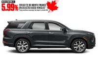 2020 Hyundai Palisade Luxury 7-Passenger AWD Exterior Shot 10