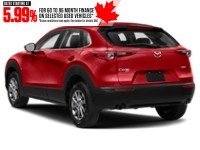 2021 Mazda CX-30 GX AWD Exterior Shot 9