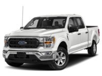 2023 Ford F-150 XLT 4WD SuperCrew 5.5' Box Exterior Shot 1