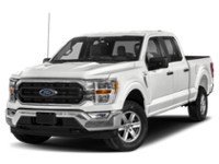 2023 Ford F-150 XLT 4WD SuperCrew 5.5' Box Exterior Shot 1