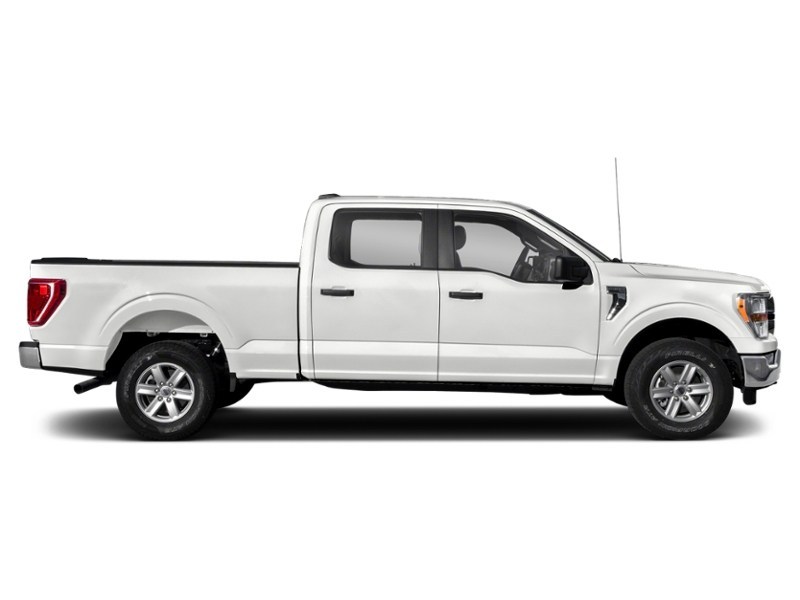 2023 Ford F-150 XLT 4WD SuperCrew 5.5' Box Exterior Shot 10