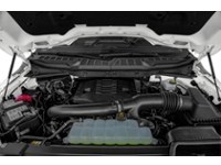 2023 Ford F-150 XLT 4WD SuperCrew 5.5' Box Exterior Shot 3