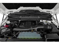 2023 Ford F-150 XLT 4WD SuperCrew 5.5' Box Exterior Shot 3
