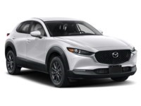 2021 Mazda CX-30 GX FWD Exterior Shot 8
