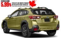 2023 Subaru Crosstrek Outdoor CVT Exterior Shot 10