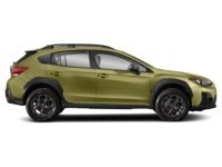 2023 Subaru Crosstrek Outdoor CVT Exterior Shot 10