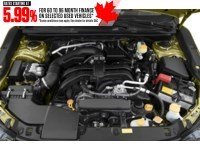 2023 Subaru Crosstrek Outdoor CVT Exterior Shot 4