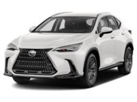 2022 Lexus NX 250 NX 250 AWD Exterior Shot 1