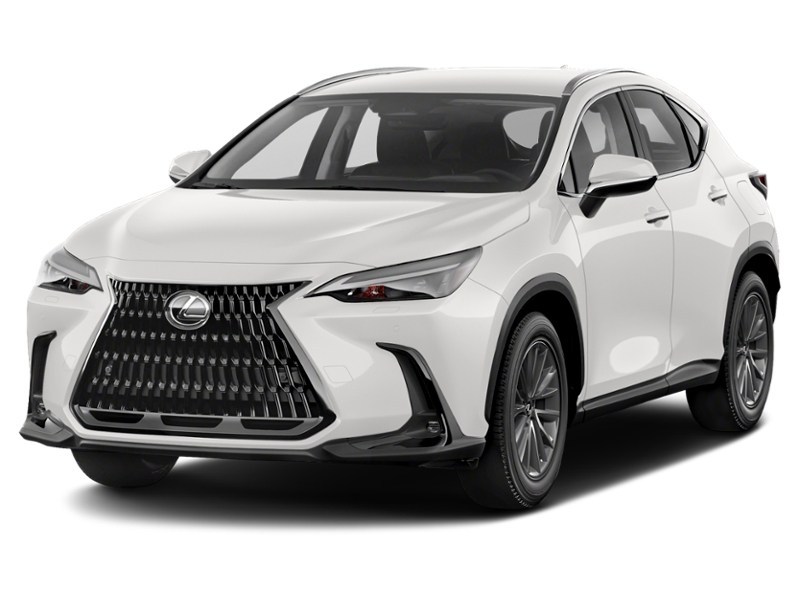 2022 Lexus NX 250 NX 250 AWD Exterior Shot 1