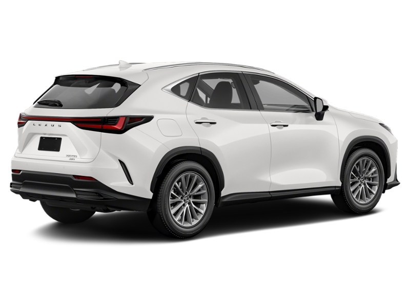 2022 Lexus NX 250 NX 250 AWD Exterior Shot 2