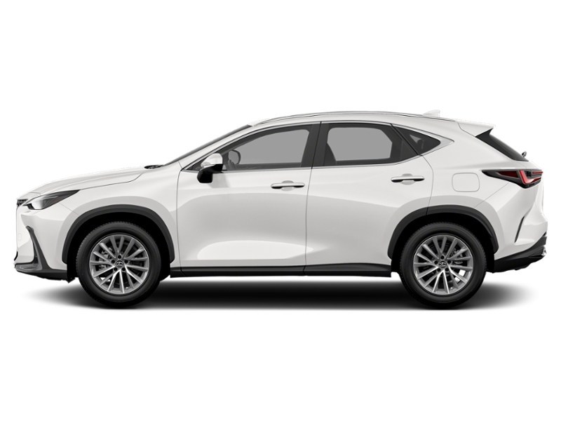 2022 Lexus NX 250 NX 250 AWD Exterior Shot 3