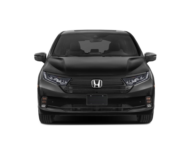 2023 Honda Odyssey Black Edition Auto Exterior Shot 5