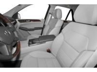 2014 Mercedes-Benz M-Class Base Interior Shot 5