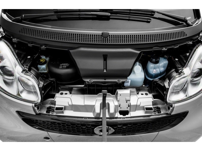 2015 smart fortwo 2dr Cpe Pure Exterior Shot 3