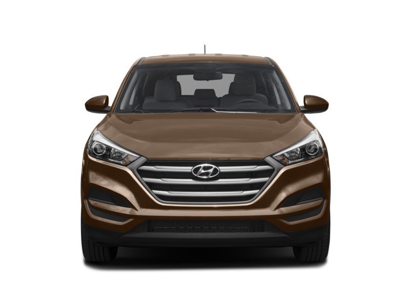 2017 Hyundai Tucson FWD 4dr 2.0L SE Exterior Shot 6