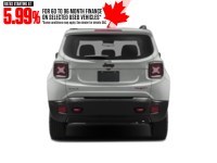 2017 Jeep Renegade 4WD 4dr Trailhawk Exterior Shot 8