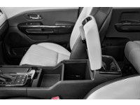 2015 Kia Sedona 4dr Wgn SXL Interior Shot 7