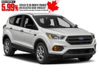 2019 Ford Escape SE 4WD Exterior Shot 9
