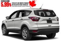 2019 Ford Escape SE 4WD Exterior Shot 10