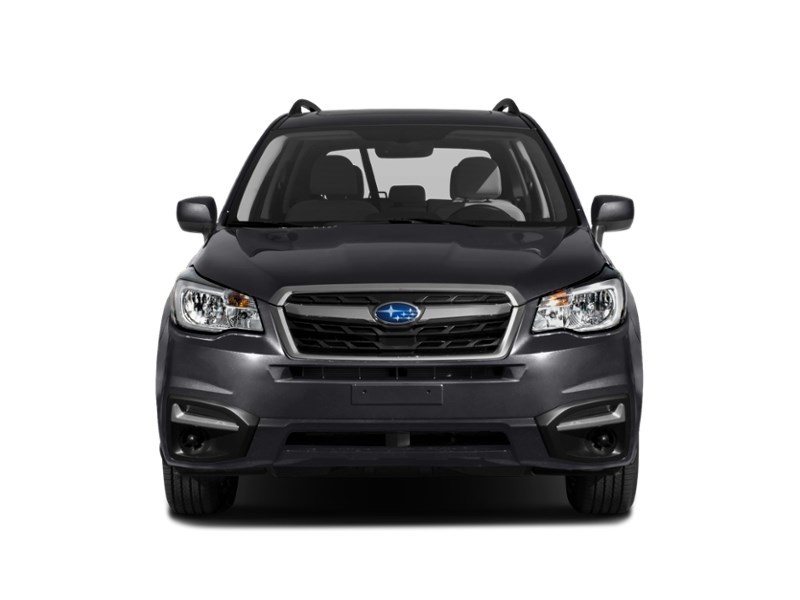 2017 Subaru Forester 5dr Wgn CVT 2.5i Convenience Exterior Shot 6