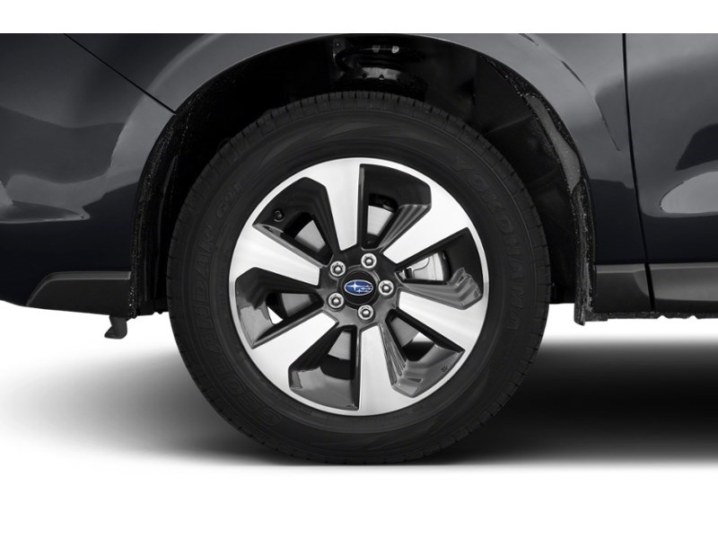 2017 Subaru Forester 5dr Wgn CVT 2.5i Convenience Exterior Shot 5