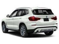 2019 BMW X3 xDrive30i Exterior Shot 10