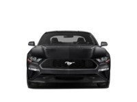 2020 Ford Mustang EcoBoost Fastback Exterior Shot 6