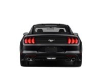 2020 Ford Mustang EcoBoost Fastback Exterior Shot 8