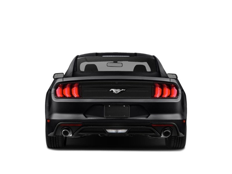 2020 Ford Mustang EcoBoost Fastback Exterior Shot 8