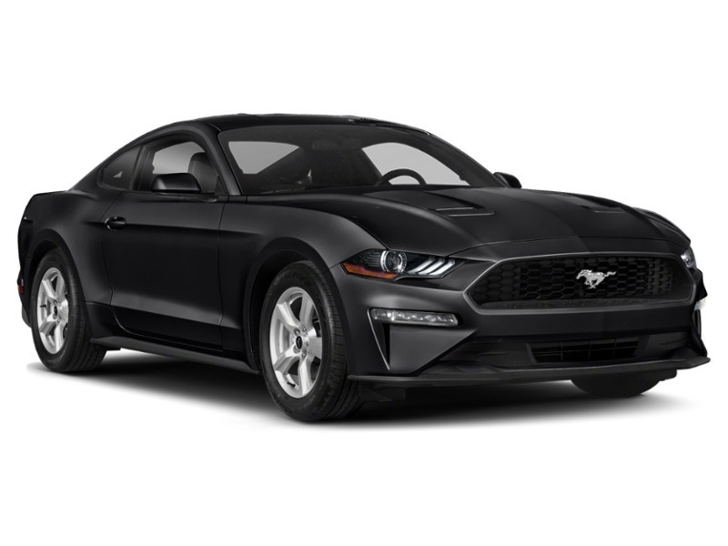 2020 Ford Mustang EcoBoost Fastback Exterior Shot 9