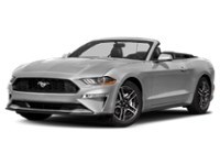 2021 Ford Mustang EcoBoost Convertible Exterior Shot 1