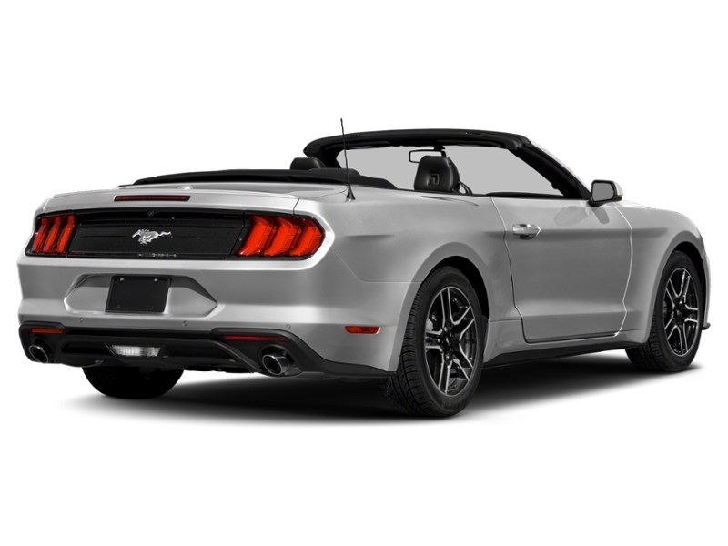 2021 Ford Mustang EcoBoost Convertible Exterior Shot 2