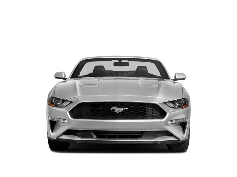 2021 Ford Mustang EcoBoost Convertible Exterior Shot 5