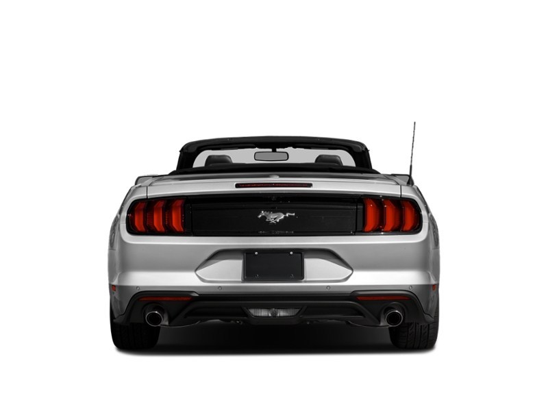 2021 Ford Mustang EcoBoost Convertible Exterior Shot 7