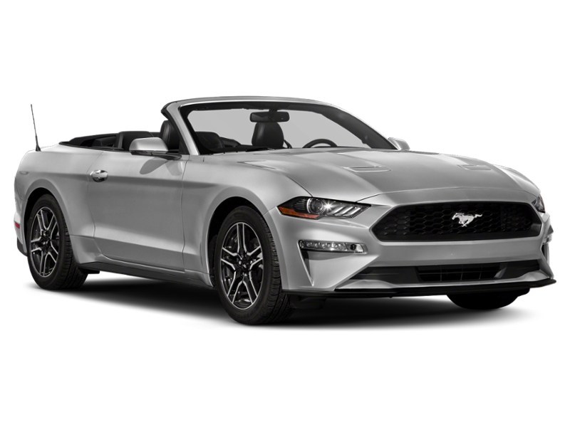 2021 Ford Mustang EcoBoost Convertible Exterior Shot 8