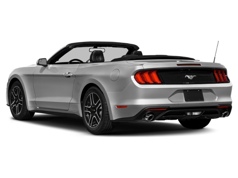2021 Ford Mustang EcoBoost Convertible Exterior Shot 9