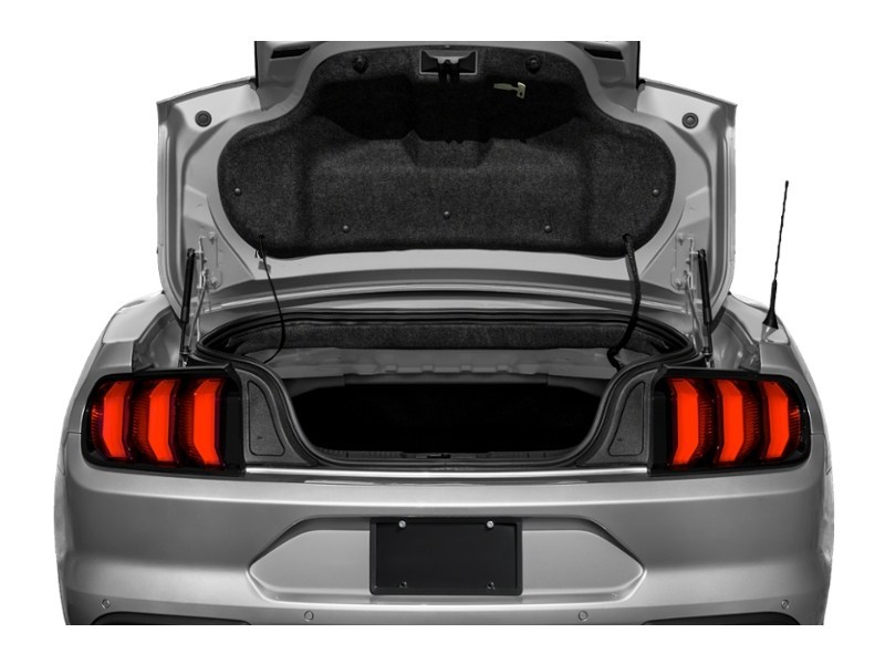 2021 Ford Mustang EcoBoost Convertible Exterior Shot 4