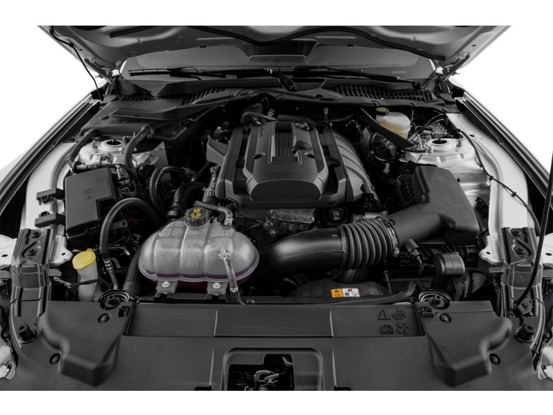 2021 Ford Mustang EcoBoost Convertible Exterior Shot 3