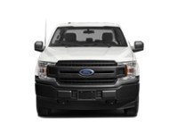 2020 Ford F-150 XL 4WD SuperCrew 6.5' Box Exterior Shot 6