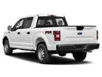 2019 Ford F-150 XL Exterior Shot 10