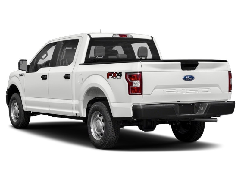 2020 Ford F-150 XL 4WD SuperCrew 6.5' Box Exterior Shot 10