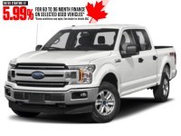 2019 Ford F-150 XLT 4WD SuperCrew 5.5' Box Exterior Shot 1